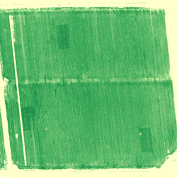 picture of a field 