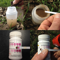 demonstration of nitrate test