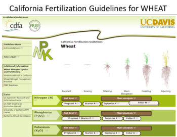 CA wheat guidelines